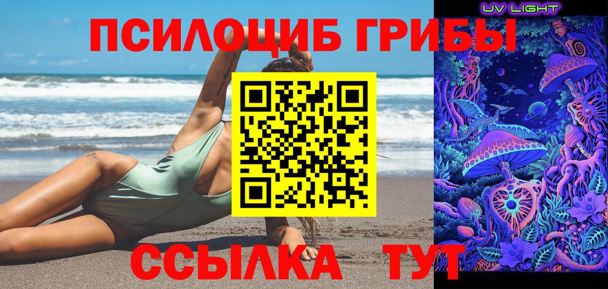Псилоцибиновые грибы Psilocybine cubensis  Вход с VPN  Норильск 